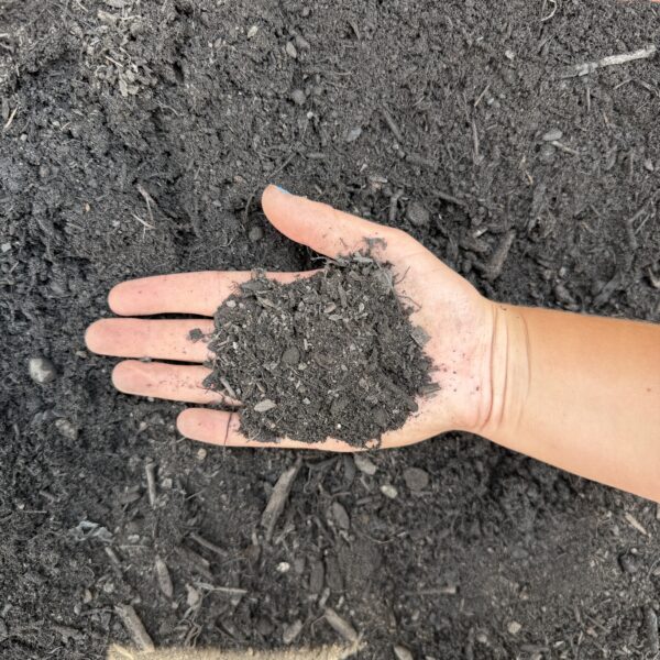 Compost Soil - Image 2