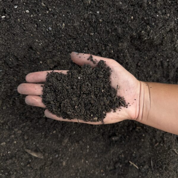 Lawn Mix Soil - Image 2