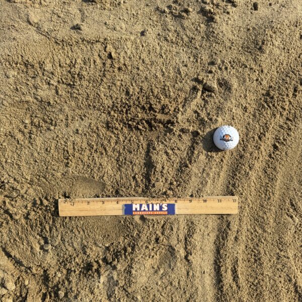 Mason Sand - Image 3
