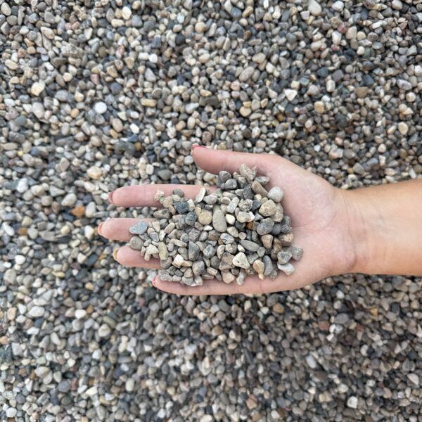 Pea Pebble - Image 2