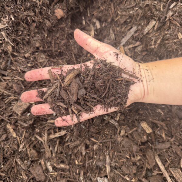 Brown Decorative Mulch - Image 2