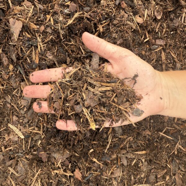 Northern Pine Mulch - Image 2