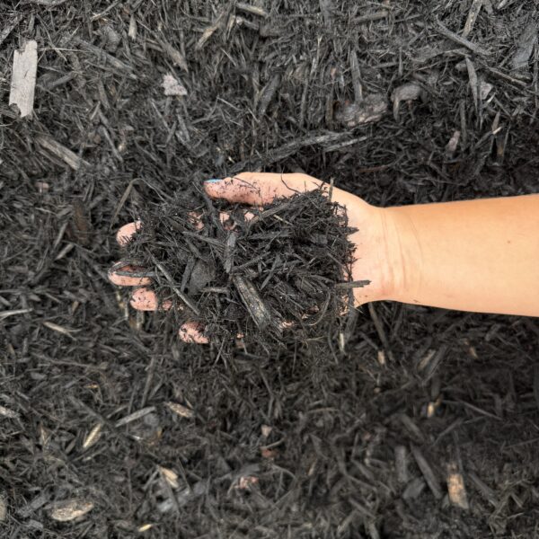 Black Decorative Mulch - Image 2
