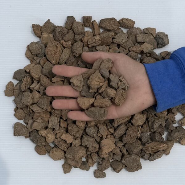 Stone Bark - Image 2