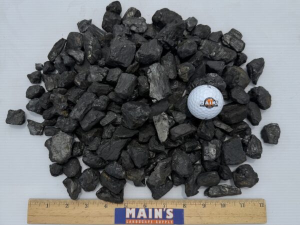 Black Chestnut - Image 3
