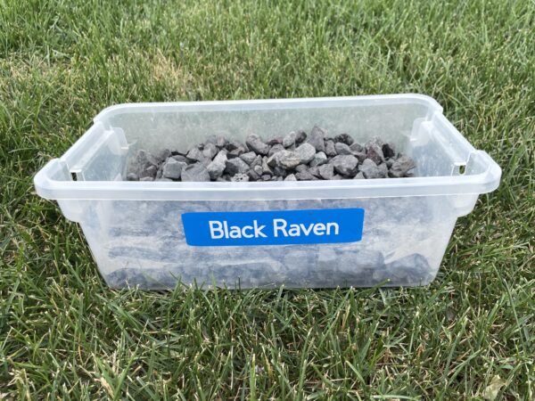 Black Raven - Image 4