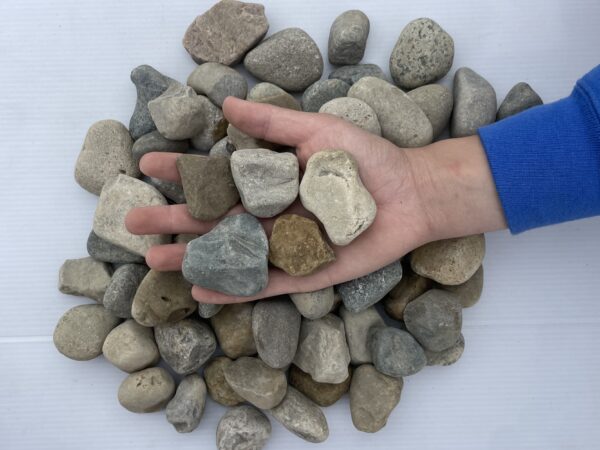 Egg Rock - Image 2