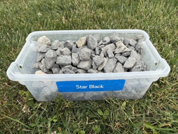 Star Black - Image 4
