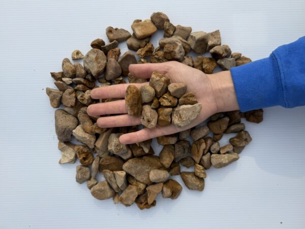 Walnut Pebble - Image 2