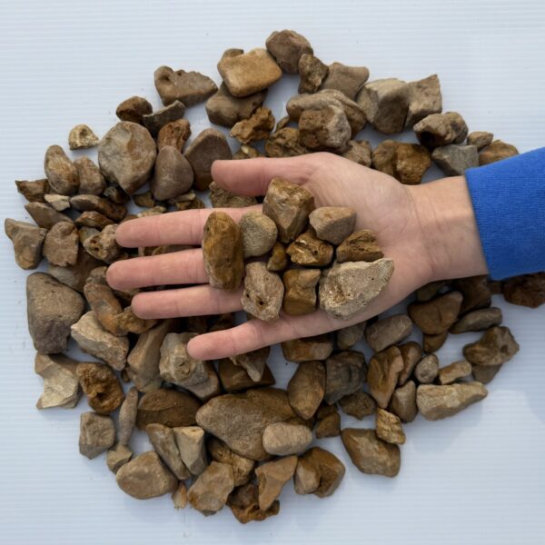 Walnut Pebble - Image 2
