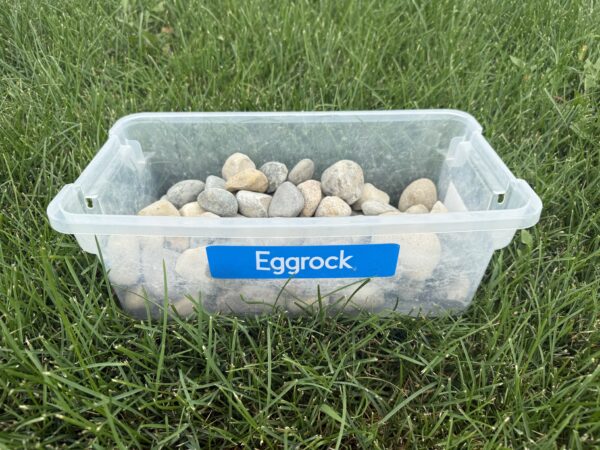 Egg Rock - Image 4