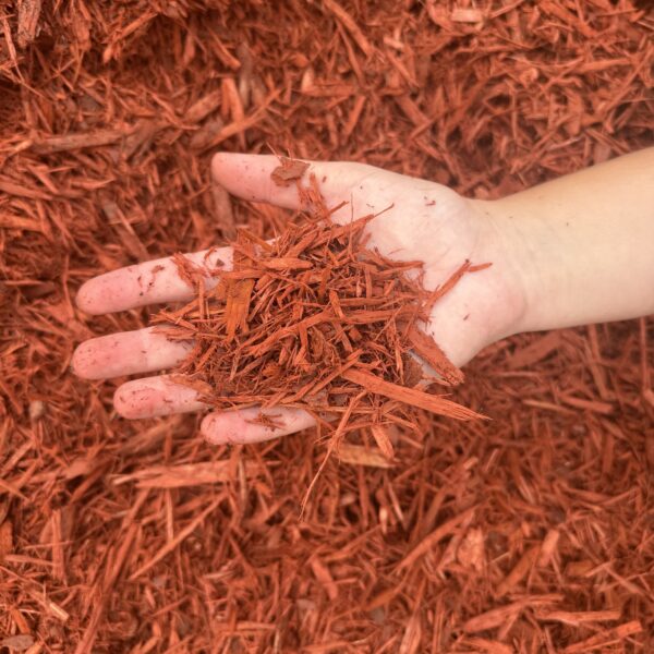 Red Decorative Mulch - Image 2